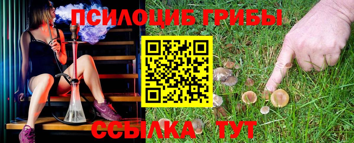 Галлюциногенные грибы Magic Shrooms Воткинск