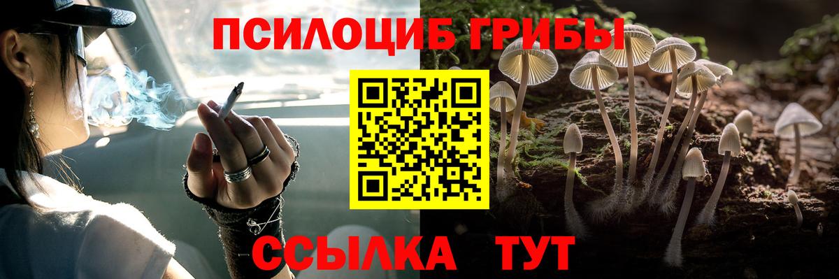 где купить наркоту  Галлюциногенные грибы Cubensis  Псилоцибиновые грибы ЛСД  Вход с VPN  Воткинск 